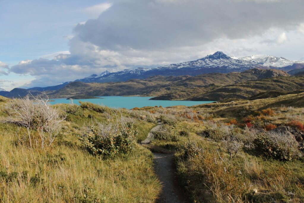 karla robinson ltzogutv0ku unsplash