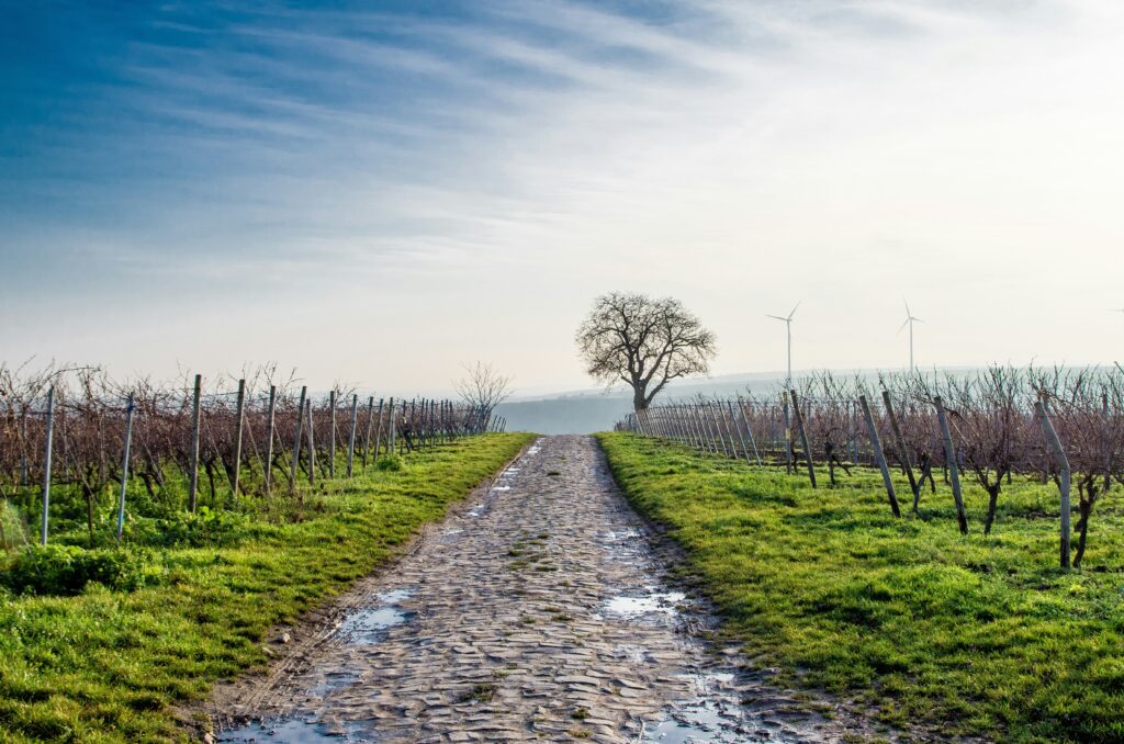 karsten wurth gnmxiti8sva unsplash