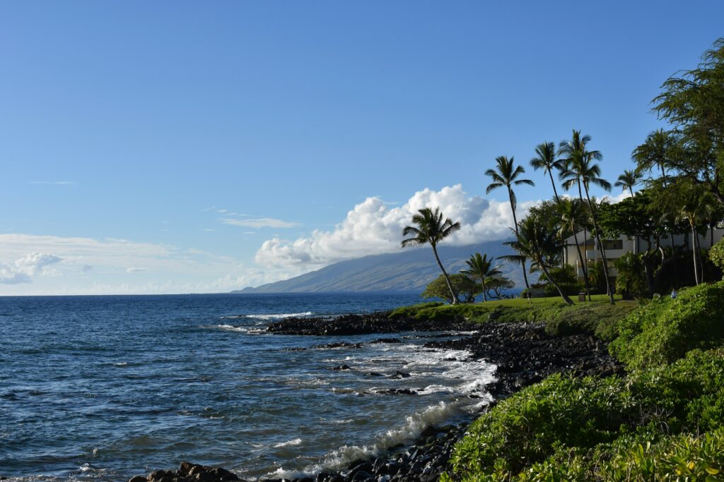 luke scarpino ngrnc h2g8e unsplash