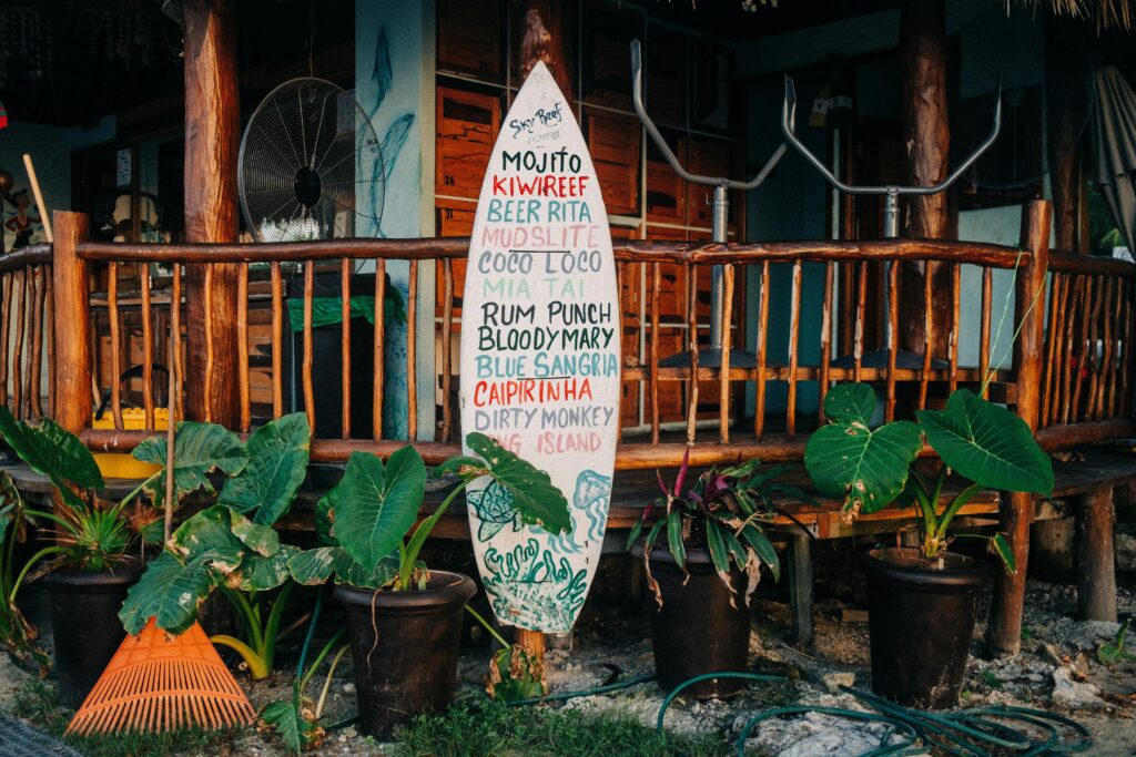 pexels mati 11481550